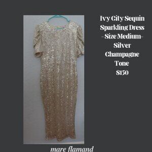 Ivy City Sequin Sparkling Dress - Silver Champagne Tone (size-medium)